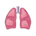 Lung vector detailed illustration