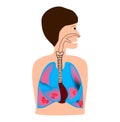 Lungs affected by tuberculosis, bronchitis. Human respiratory system. World Pneumonia Day. The anatomical structure of Royalty Free Stock Photo