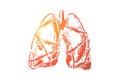 Lungs in barbed wire, respiratory organ wrapped by cable with thorns