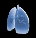 Lungs and bronchi