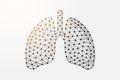 Lungs 3d low poly symbol with connected dots. Respiratory system, human transplantation design vector illustration