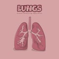 Lungs design for human breathing apparatus in pink color design