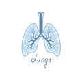 Lungs detailed sign. Human internal organ anatomy icon