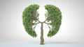 Lungs of the Earth. Tree in the shape of Lungs. Eco Concept Royalty Free Stock Photo