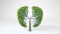 Lungs of the Earth. Tree in the shape of Lungs. Eco Concept Royalty Free Stock Photo