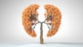 Lungs of the Earth. Tree in the shape of Lungs. Eco Concept Royalty Free Stock Photo