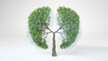 Lungs of the Earth. Tree in the shape of Lungs. Eco Concept Royalty Free Stock Photo