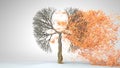 Lungs of the Earth. Tree in the shape of Lungs. Eco Concept Royalty Free Stock Photo