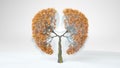 Lungs of the Earth. Tree in the shape of Lungs. Eco Concept Royalty Free Stock Photo