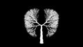 Lungs of the Earth. Tree in the shape of Lungs. Eco Concept Royalty Free Stock Photo