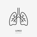 Lungs flat line icon. Vector thin pictogram of human internal organ, outline illustration for pulmonary clinic