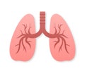 Lungs flat style. Vector illustration icon. Isolated vector illustration.Medical icon.