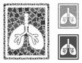 Lungs fluorography Composition Icon of Inequal Pieces