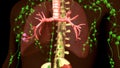 Lungs Granuloma