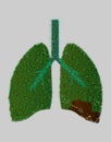 Lungs from green leaves. Energy saving concept or World Tuberculosis Day poster. Vector, oxygen for the earth. Royalty Free Stock Photo