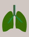 Lungs from green leaves. Energy saving concept or World Tuberculosis Day poster. Vector, oxygen for the earth Royalty Free Stock Photo