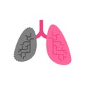 Lungs healthy and Lung smoker. Healthy and Sick Internal Organ. vector illustration