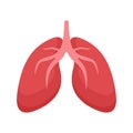 Lungs icon, flat style