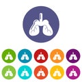 Lungs icons set vector color
