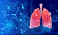 Lungs illustration showing connections using lines and triangles Royalty Free Stock Photo