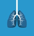 Lungs Image Banner Isolated on Blue Background