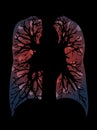 Lungs infected by coronavirus on a black background