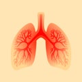 Lungs inflammation vector icon