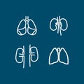 lungs and kidneys, internal organs line icon. lungs and kidneys, internal organs line icon set