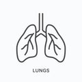 Lungs line icon. Vector outline illustration of man respiratory system. Human bronchus pictorgam Royalty Free Stock Photo