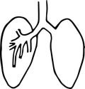 Lungs line icon