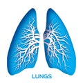 Lungs origami.