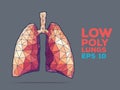 Lungs poly faceted Royalty Free Stock Photo