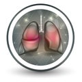 Lungs round shape icon