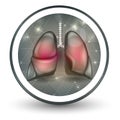 Lungs round shape icon Royalty Free Stock Photo