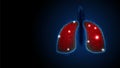 Lungs shape polygonal Symbol. Breathing, Respiratory system. Oxygen disease cancer, asthma, tuberculosis, pneumonia