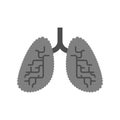 Lungs smoker. Sick internal organ. Respiratory disease