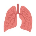 Lungs symbol. Breathing. Lunge exercise.