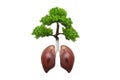 Lungs tree.Healthy life concept. Forest protection concept good environment Royalty Free Stock Photo