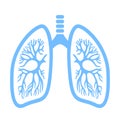 Lungs vector icon