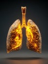 Brightly Glowing Lungs With Intricate Patterns Illuminating the Airways and Surrounding Structure in a Dark Background Royalty Free Stock Photo