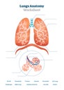 Lungs worksheet vector illustration. Respiratory template education scheme