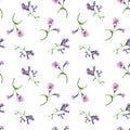 Lungwort medicinal plant watercolor seamless pattern isolated on white background. Pulmonaria officinalis purple useful