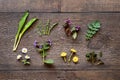 Lungwort, wild garlic, young nettles, dandelion and other herbs collected in spring