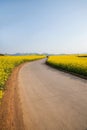 Luoping small flower canola flower patch on the side of a rural road Bazi