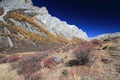 Wilderness, mountain, vegetation, badlands, rock, shrubland, sky, national, park, geology, escarpment, ridge, geological, phenomen