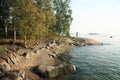 Trees on the rocky coast of Luoto island, Helsinki Royalty Free Stock Photo