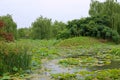 Luoyang Sui and Tang site Botanical Garden Royalty Free Stock Photo