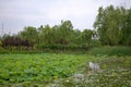 Luoyang Sui and Tang site Botanical Garden