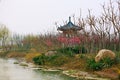Luoyang Sui and Tang site Botanical Garden