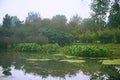 Luoyang Sui and Tang site Botanical Garden